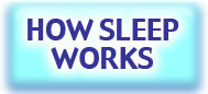 How Sleep Works