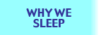 Why We Sleep
