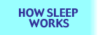 How Sleep Works